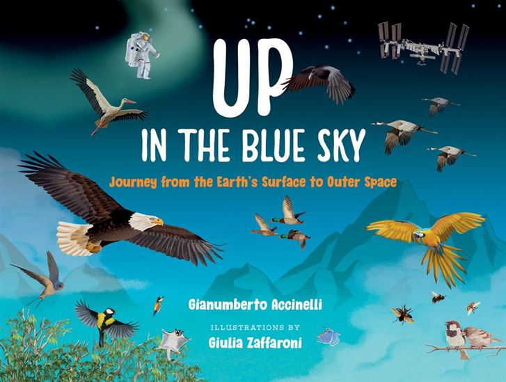 Up in the Blue Sky: Journey from the Earth’s Surface to Outer Space - GIANUMBERTO ACCINELLI - GIULIA ZAFFARONI