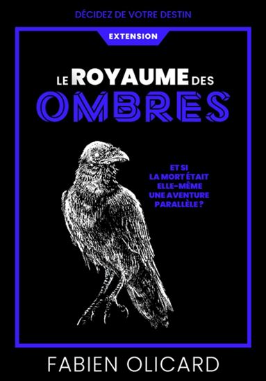 Le Royaume des ombres : Décidez de votre destin - FABIEN OLICARD