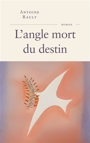L&#39;Angle mort du destin - ANTOINE RAULT
