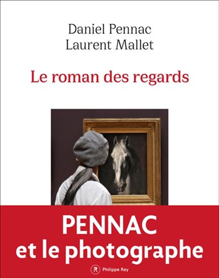 Le Roman des regards - DANIEL PENNAC