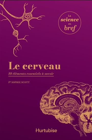 Le Cerveau : 10 éléments essentiels à savoir - SOPHIE SCOTT