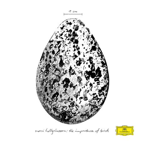 Importance of Birds, The (Vinyle) - SNORRI HALLGRÍMSSON