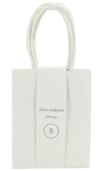 Ens. 5 sacs minis kraft blanc