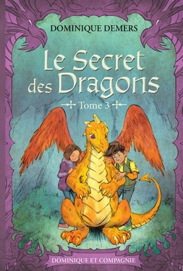 Le Secret des dragons #03 N. éd. - DOMINIQUE DEMERS - JOHAN PILET