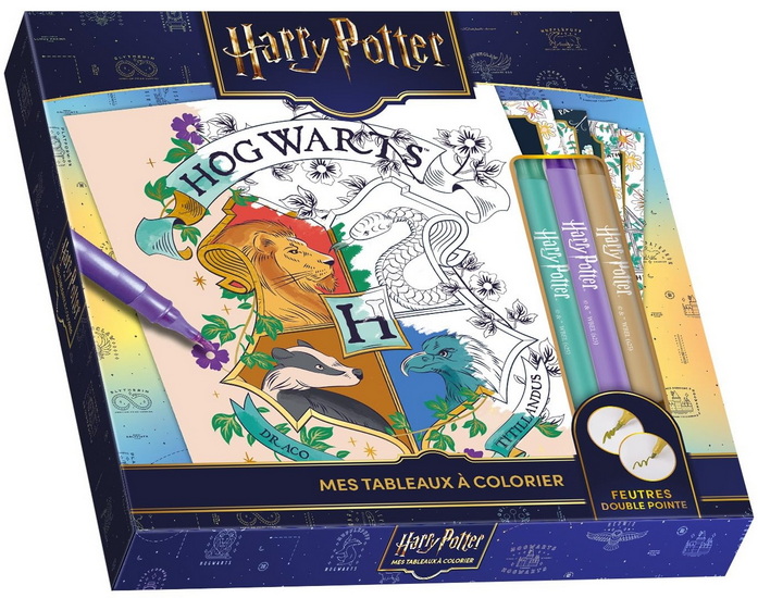 Harry Potter : Mes tableaux à colorier - PLAY BAC ÉDITIONS
