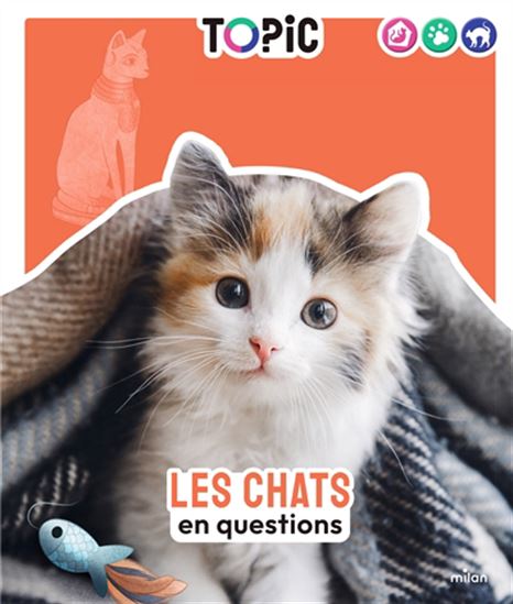 Les Chats en questions - CHARLOTTE DURANTON - AGNÈS WEILL-CHOUNLAMOUNTRY