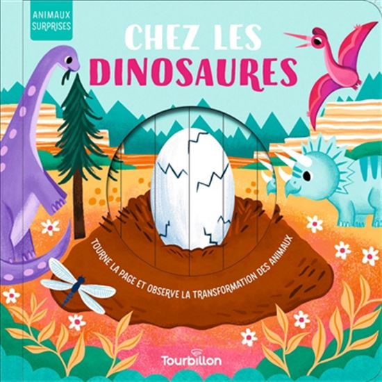 Chez les dinosaures : tourne la page et observe la transformation des animaux - HARRIET STONE - BECKY PAIGE