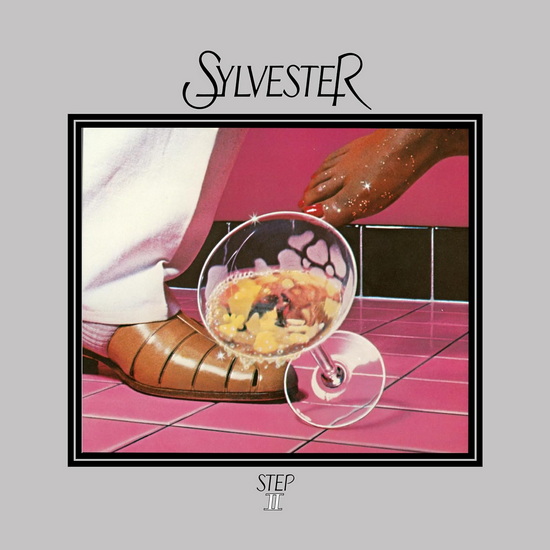 Step II (Vinyle couleur) - SYLVESTER