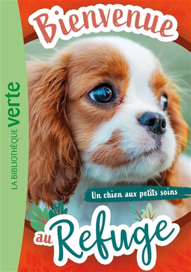 Un chien aux petits soins #13 - PASCAL RUTER