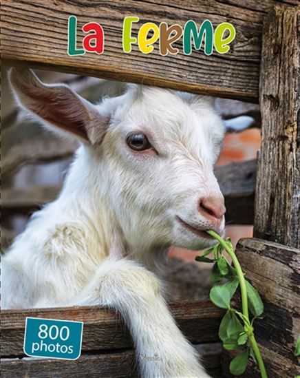 La Ferme : 800 photos - COLLECTIF