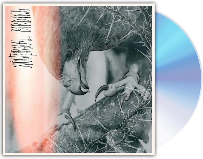 Nocturnal Birding - AUTHOR & PUNISHER