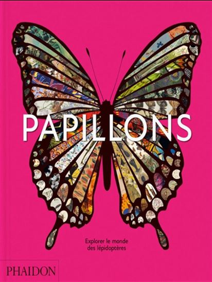 Papillons : explorer le monde des lépidoptères - COLLECTIF