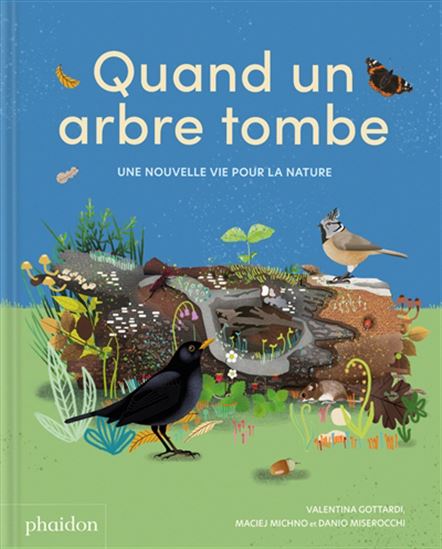 Quand un arbre tombe : une nouvelle vie pour la nature - VALENTINA GOTTARDI & AL