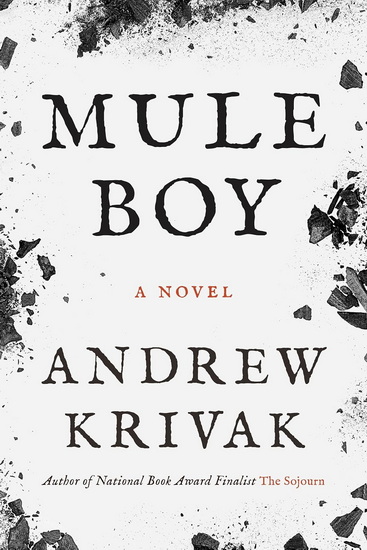 Mule Boy - ANDREW KRIVAK