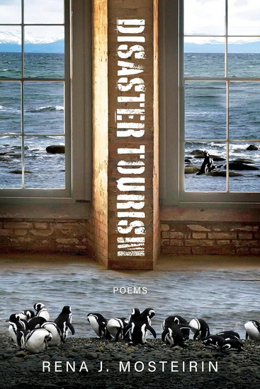 Disaster Tourism - RENA J MOSTEIRIN