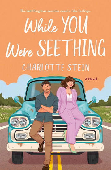 While You Were Seething - CHARLOTTE STEIN