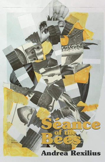 Séance of the Bees - ANDREA REXILIUS