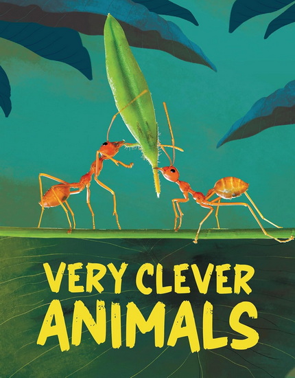 Very Clever Animals: Discover the World&#39;s Smartest Animals - ROSIE ROWNTREE