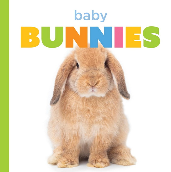 Baby Bunnies - LAURA K MURRAY
