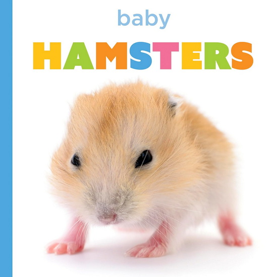Baby Hamsters - LAURA K MURRAY