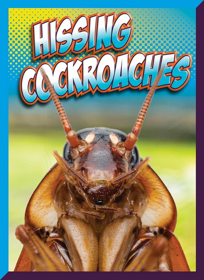 Hissing Cockroaches - MARYSA STORM