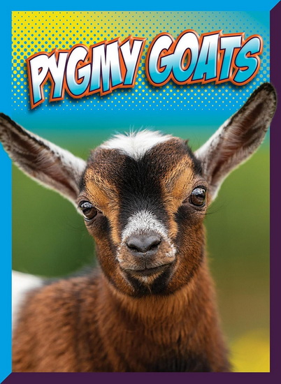 Pygmy Goats - MARYSA STORM