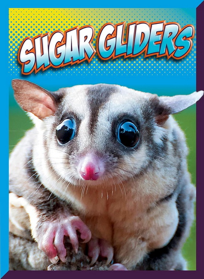 Sugar Gliders - MARYSA STORM