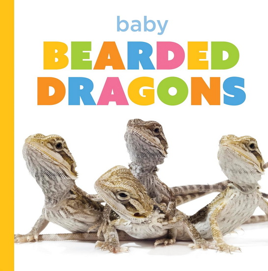 Baby Bearded Dragons - LAURA K MURRAY