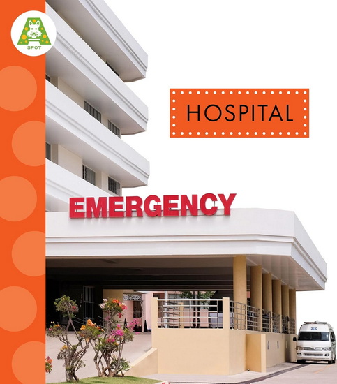 Hospital - SUSAN ROSE SIMMS