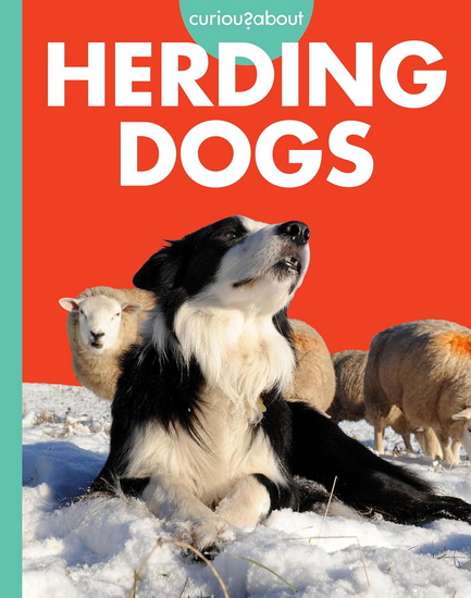 Curious about Herding Dogs - CARI MEISTER