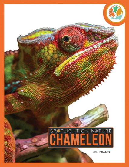 Chameleon - JEN FRANTZ