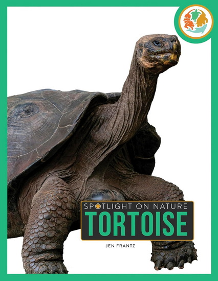 Tortoise - JEN FRANTZ