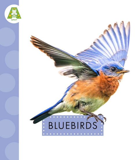 Bluebirds - ANASTASIA SUEN