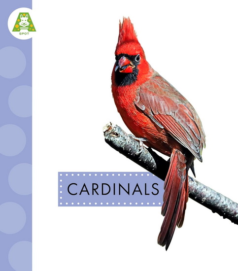 Cardinals - ANASTASIA SUEN