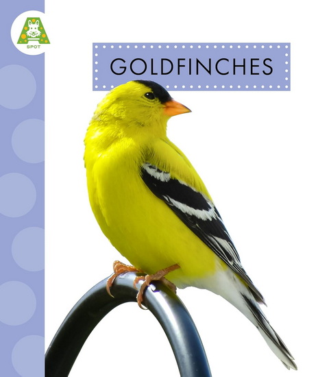 Goldfinches - ANASTASIA SUEN