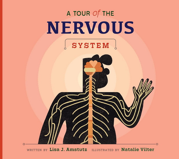 A Tour of the Nervous System - LISA J AMSTUTZ - NATALIE VILTER