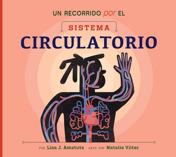Un recorrido por el sistema circulatorio: Spanish Edition - LISA J AMSTUTZ - NATALIE VILTER