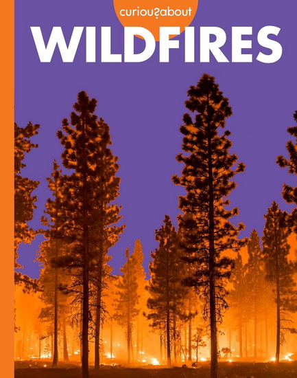 Curious about Wildfires - DEBORAH SCIGLIANO