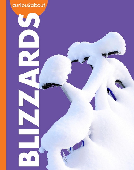 Curious about Blizzards - RACHEL GRACK