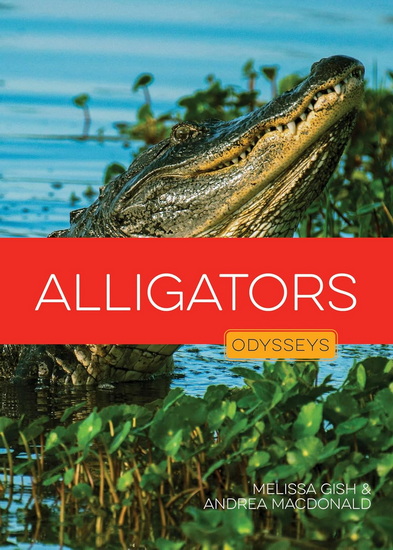 Alligators - MELISSA GISH - ANDREA MACDONALD