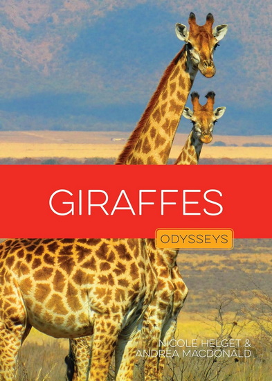 Giraffes - NICOLE HELGET - ANDREA MACDONALD