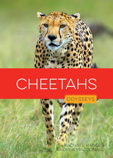 Cheetahs - RACHAEL HANEL - ANDREA MACDONALD