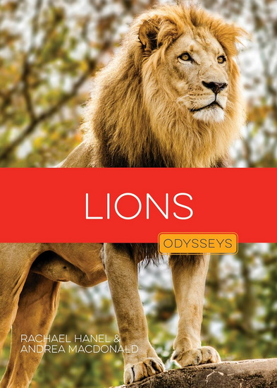 Lions - RACHAEL HANEL - ANDREA MACDONALD