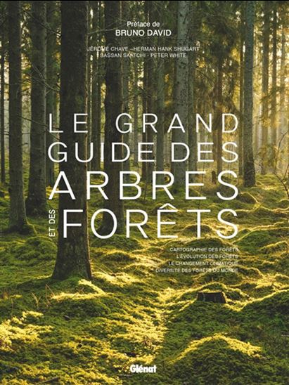 Le Grand guide des arbres et forêts N. éd. - Collectif