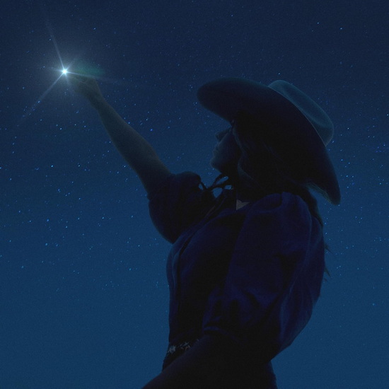 Stars (Vinyle) - ANNE WILSON