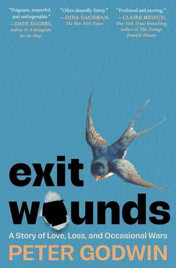 Exit Wounds - PETER GODWIN