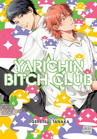 Yarichin Bitch Club, Vol. 6 - OGERETSU TANAKA