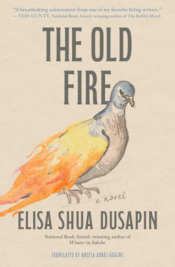 Old Fire - ELISA SHUA DUSAPIN