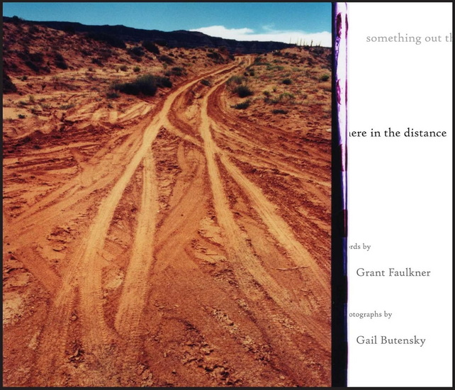 something out there in the distance - GRANT FAULKNER