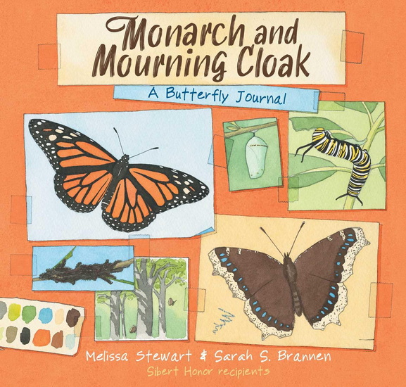 Monarch and Mourning Cloak - MELISSA STEWART
